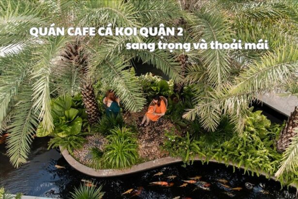 Top 2 quán cafe cá Koi quận 2 sang trọng và thoải mái