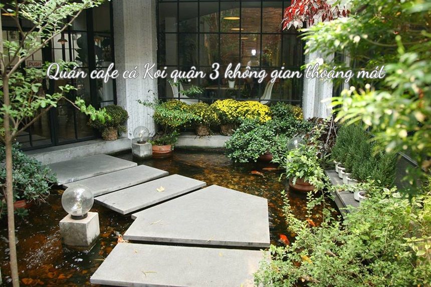 Quán cafe cá Koi quận 3 không gian thoáng mát, nhiều cá