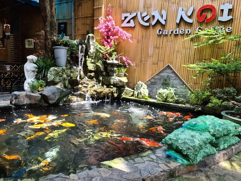 Zen Koi Garden Coffee – Cafe cá Koi thành phố Hồ Chí Minh