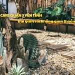 Quán cafe quận 3 yên tĩnh thư giãn không gian thoáng mát