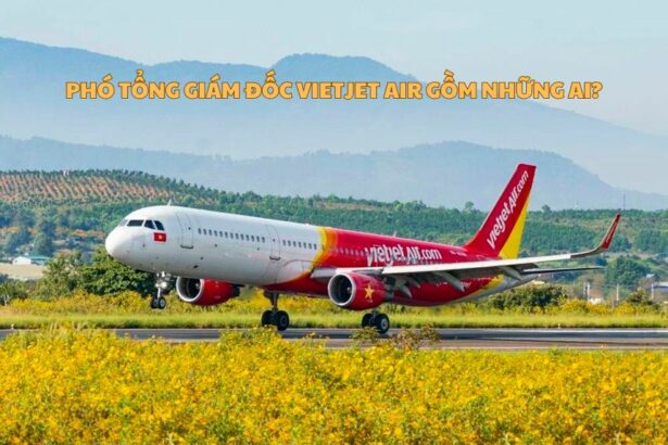 Phó Tổng giám đốc Vietjet Air là ai? Thông tin PGĐ Vietjet