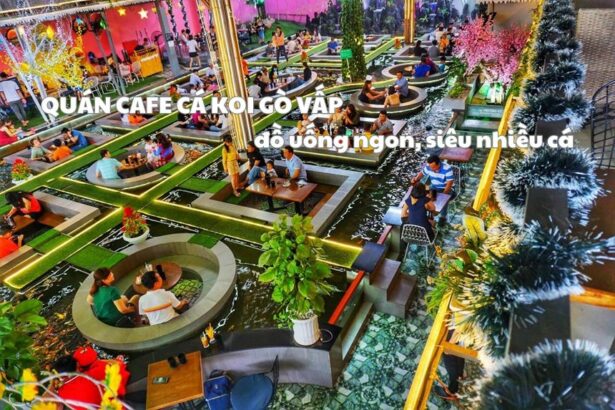 Quán cafe cá Koi Gò Vấp, cà phê ngắm cá Koi quận Gò Vấp